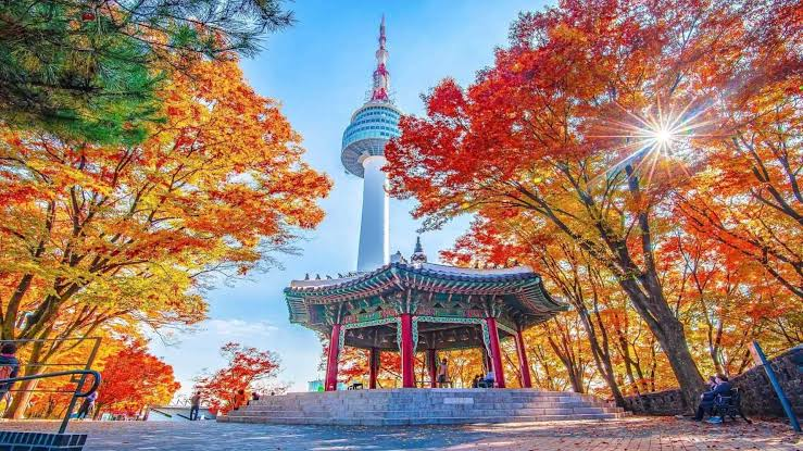 KHÁM PHÁ HÀN QUỐC: SEOUL - NAMI ISLAND - EVERLAND/LOTTE WORLD
