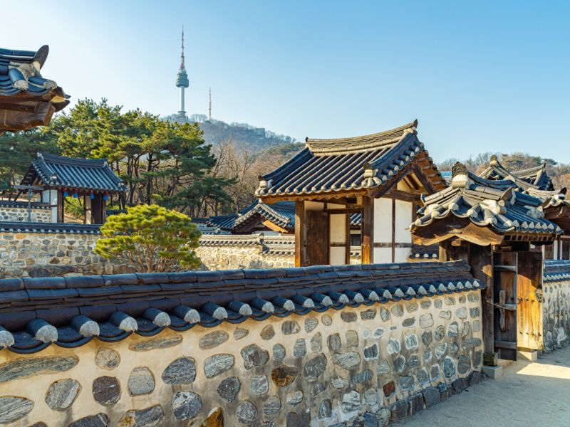 KHÁM PHÁ HÀN QUỐC: SEOUL - NAMI ISLAND - EVERLAND/LOTTE WORLD