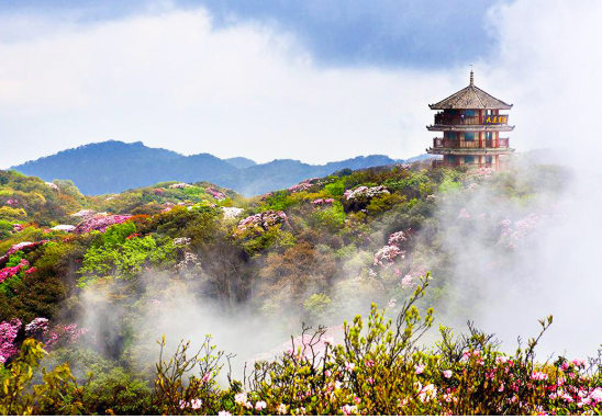 TOUR TRÙNG KHÁNH - ĐẬP TAM HIỆP - DU THUYỀN SÔNG DƯƠNG TỬ