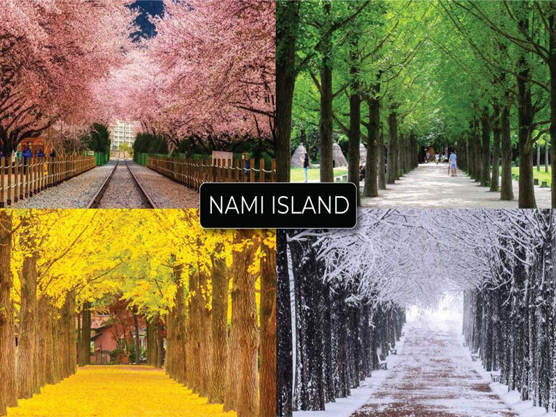 Cẩm nang du lịch Hàn Quốc cho người&nbsp;mê xê dịch&nbsp;